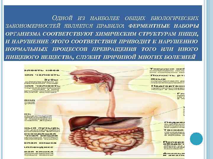 Организм не может функционировать огэ