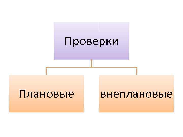 Проверки Плановые внеплановые 