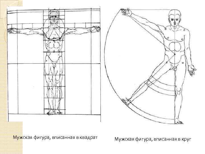 Мужская фигура, вписанная в квадрат Мужская фигура, вписанная в круг 