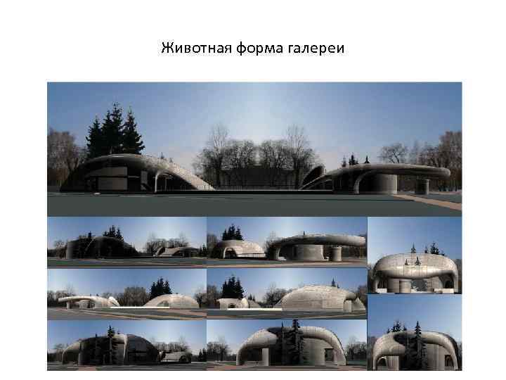 Животная форма галереи 