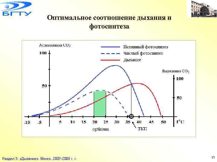 Оптимальное соотношение дыхания и фотосинтеза Раздел 3. «Дыхание» . Минск, 2007 -2008 г. r.