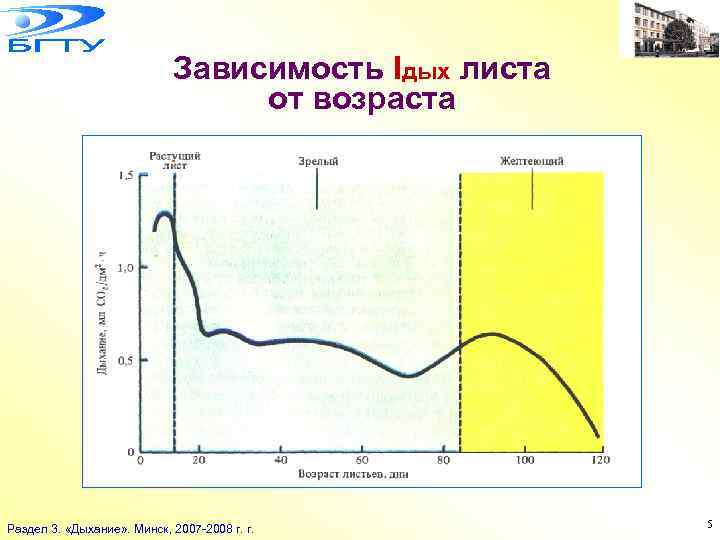 Зависимость Iдых листа от возраста Раздел 3. «Дыхание» . Минск, 2007 -2008 г. r.
