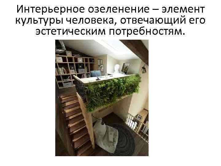 Интерьерное озеленение – элемент культуры человека, отвечающий его эстетическим потребностям. 