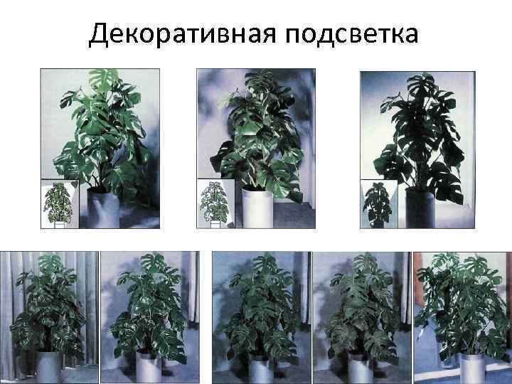 Декоративная подсветка 