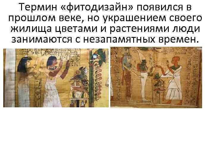 Термин «фитодизайн» появился в прошлом веке, но украшением своего жилища цветами и растениями люди