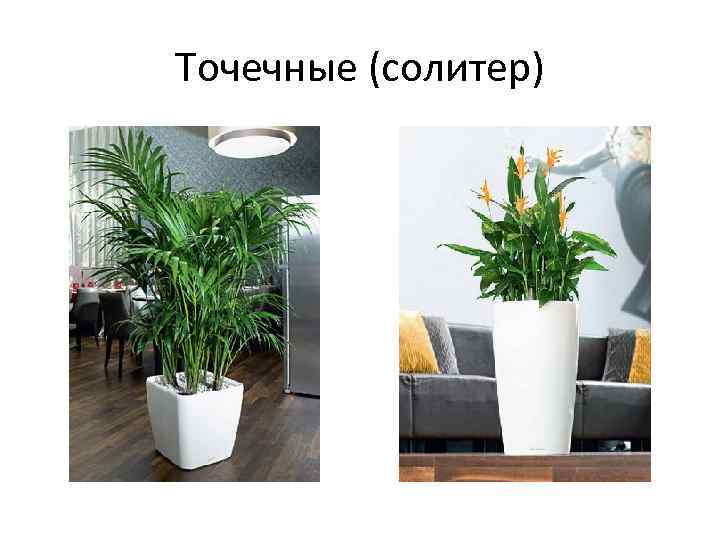 Точечные (солитер) 