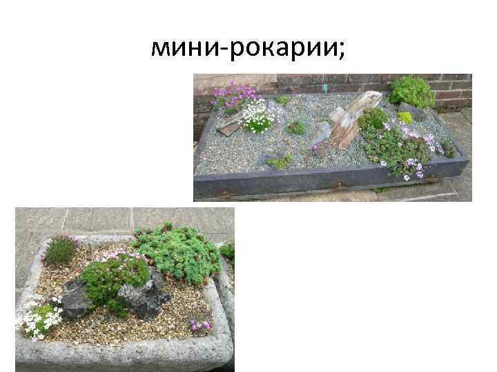 мини-рокарии; 