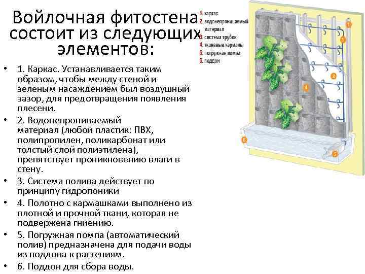 Войлочная фитостена состоит из следующих элементов: • 1. Каркас. Устанавливается таким образом, чтобы между
