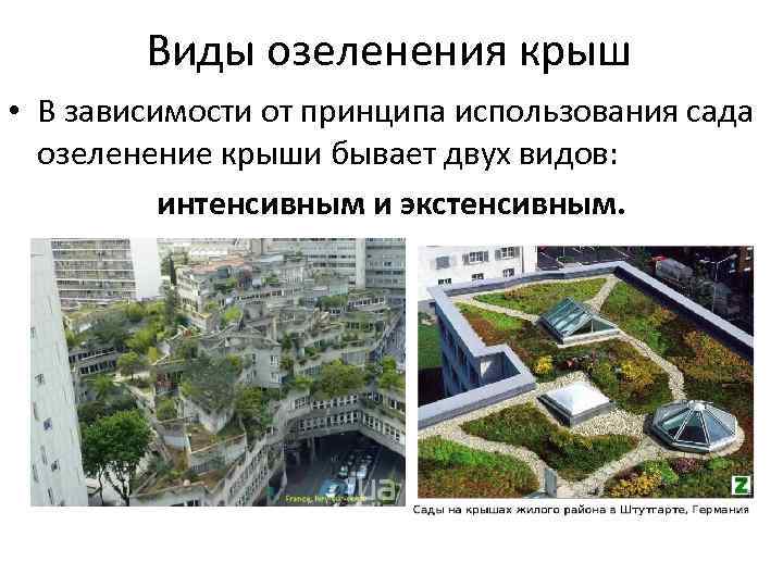 Виды озеленения крыш • В зависимости от принципа использования сада озеленение крыши бывает двух