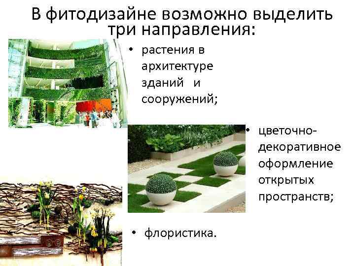 В фитодизайне возможно выделить три направления: • растения в архитектуре зданий и сооружений; •
