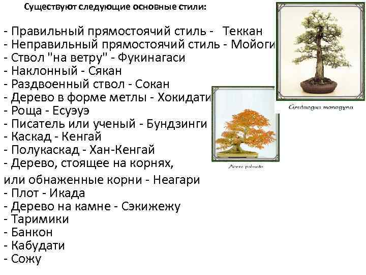 Существуют следующие основные стили: - Правильный прямостоячий стиль - Теккан - Неправильный прямостоячий стиль