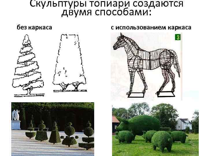 Скульптуры топиари создаются двумя способами: без каркаса с использованием каркаса 