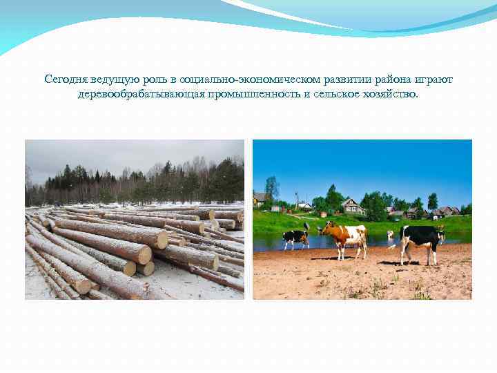 Сегодня ведущую роль в социально-экономическом развитии района играют деревообрабатывающая промышленность и сельское хозяйство. 