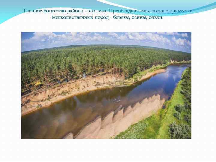 Главное богатство района - это леса. Преобладают ель, сосна с примесью мелколиственных пород -