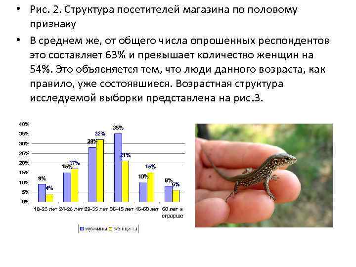  • Рис. 2. Структура посетителей магазина по половому признаку • В среднем же,