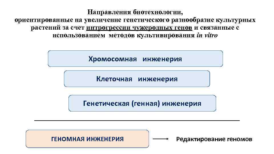 Направления биотехнологии, ориентированные на увеличение генетического разнообразие культурных растений за счет интрогрессии чужеродных генов