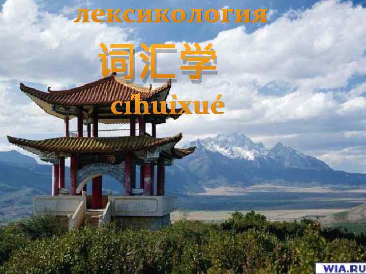 лексикология 词汇学 cíhuìxué 