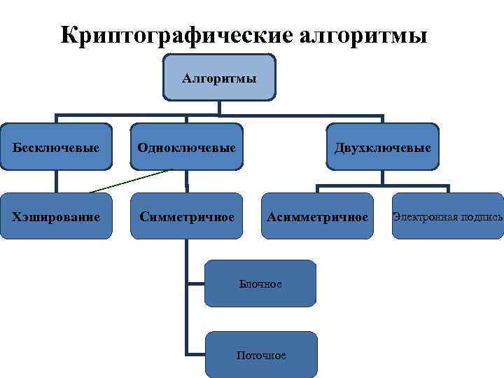 Криптографические алгоритмы Алгоритмы Бесключевые Одноключевые Хэширование Симметричное Двухключевые Асимметричное Блочное Поточное Электронная подпись 