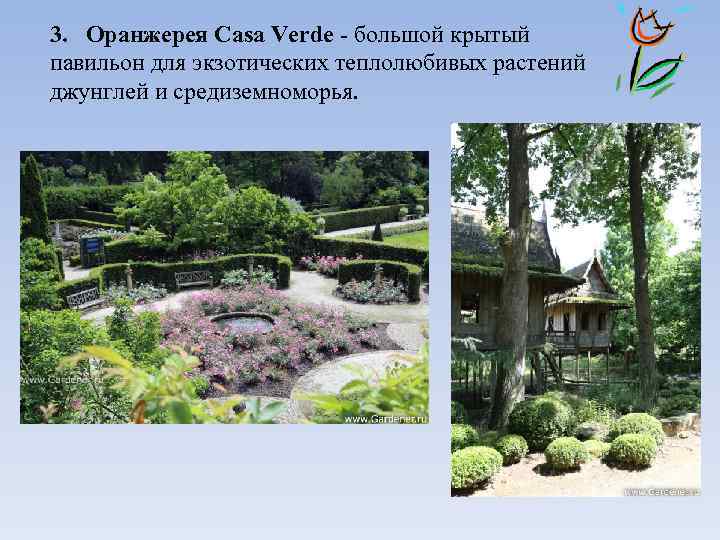 3. Оранжерея Casa Verde - большой крытый павильон для экзотических теплолюбивых растений джунглей и