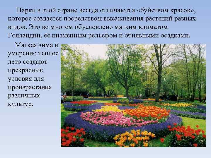  Парки в этой стране всегда отличаются «буйством красок» , которое создается посредством высаживания