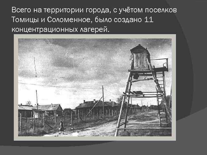 Всего на территории города, с учётом поселков Томицы и Соломенное, было создано 11 концентрационных