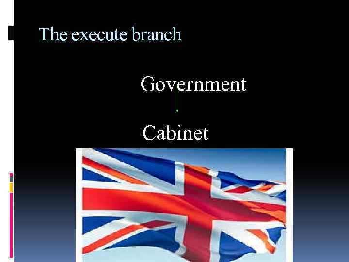 The execute branch Government Cabinet 