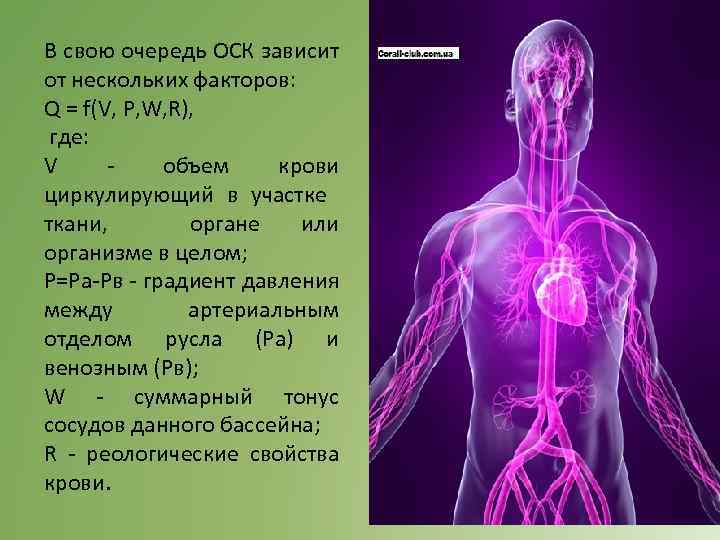 В свою очередь ОСК зависит от нескольких факторов: Q = f(V, P, W, R),