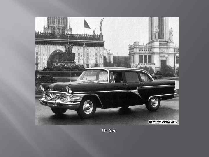 Чайка 