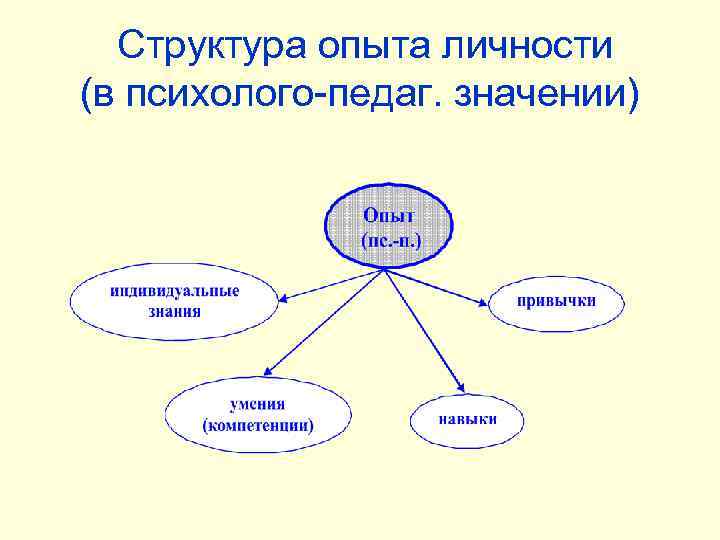 Структура опыта личности (в психолого-педаг. значении) 