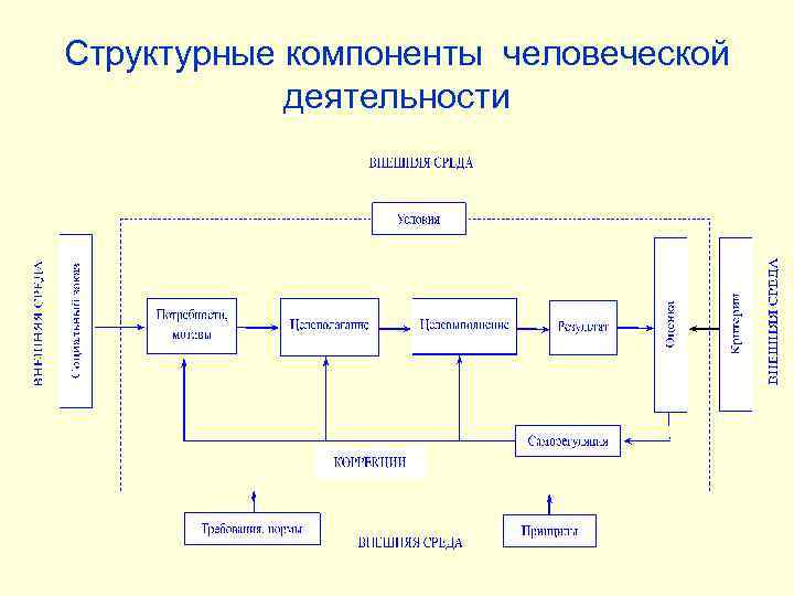 Структурные компоненты человеческой деятельности 