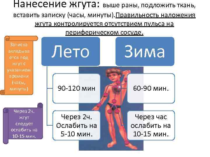 Нанесение жгута: выше раны, подложить ткань, вставить записку (часы, минуты). Правильность наложения жгута контролируется
