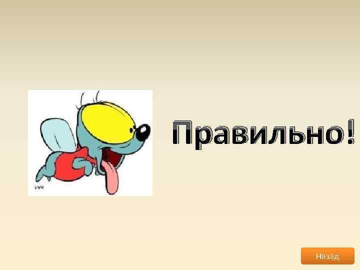 Правильно! Назад 