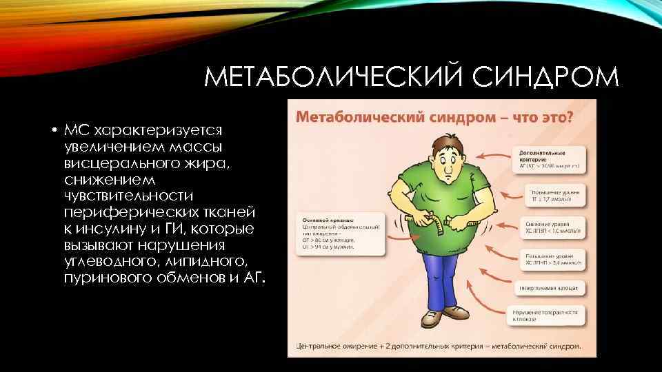 Метаболический синдром картинки для презентации