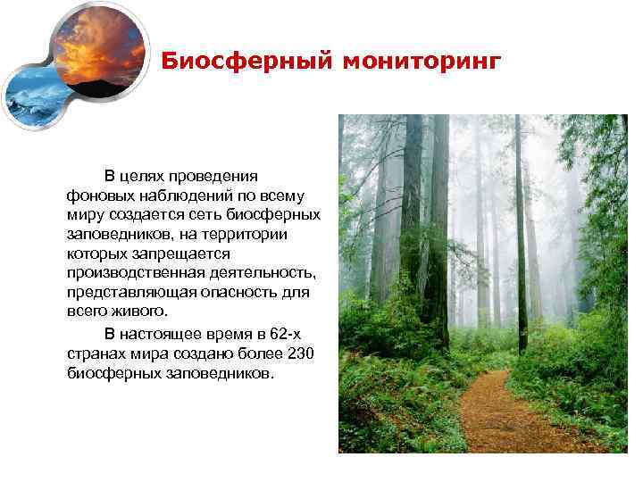 Биосферный мониторинг В целях проведения фоновых наблюдений по всему миру создается сеть биосферных заповедников,