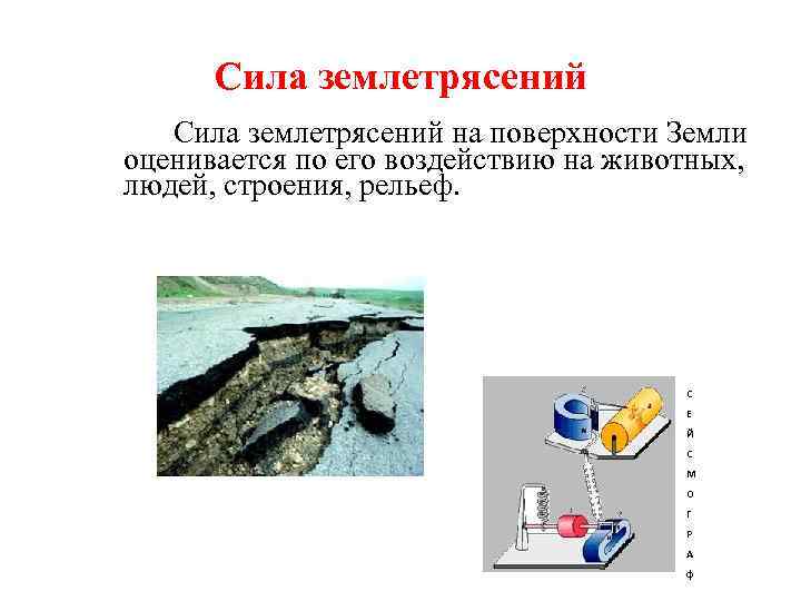 Сила землетрясений на поверхности Земли оценивается по его воздействию на животных, людей, строения, рельеф.