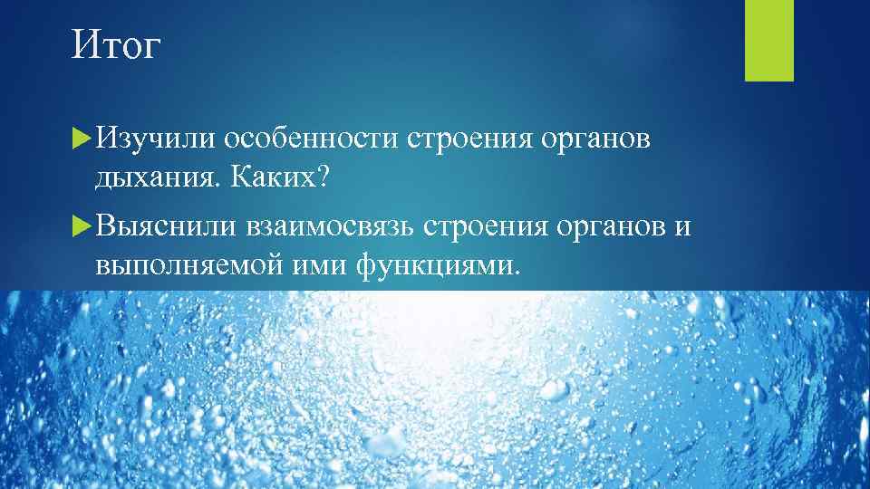 Итог Изучили особенности строения органов дыхания. Каких? Выяснили взаимосвязь строения органов и выполняемой ими