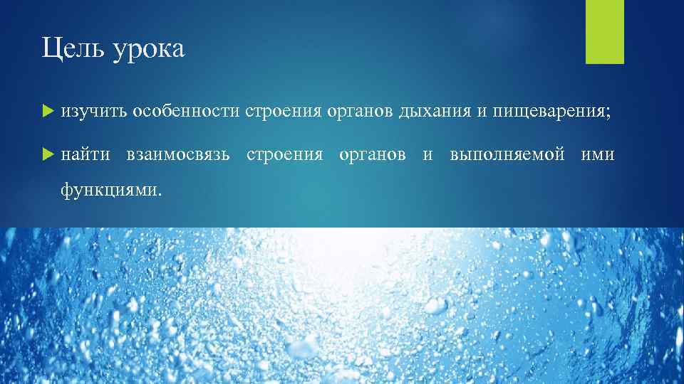 Цель урока изучить особенности строения органов дыхания и пищеварения; найти взаимосвязь строения органов и