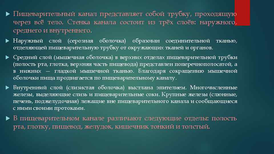  Пищеварительный канал представляет собой трубку, проходящую через всё тело. Стенка канала состоит из