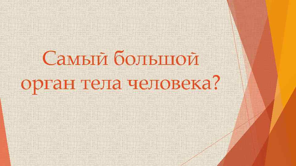 Самый большой орган тела человека? 