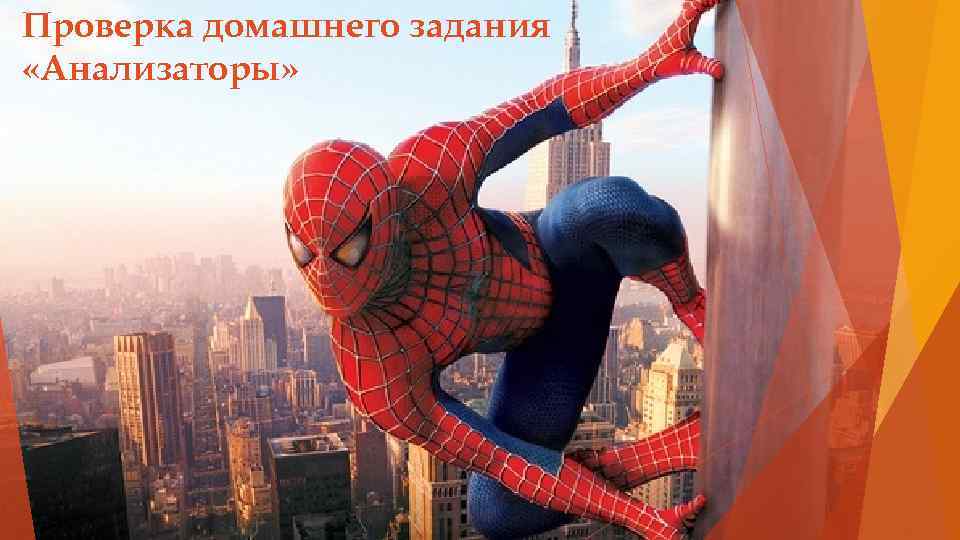 Проверка домашнего задания «Анализаторы» 