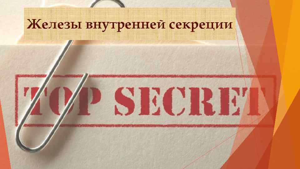 Железы внутренней секреции 