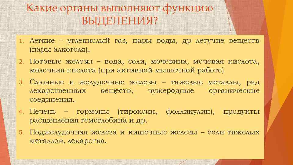Какие органы выполняют функцию ВЫДЕЛЕНИЯ? 1. Легкие – углекислый газ, пары воды, др летучие
