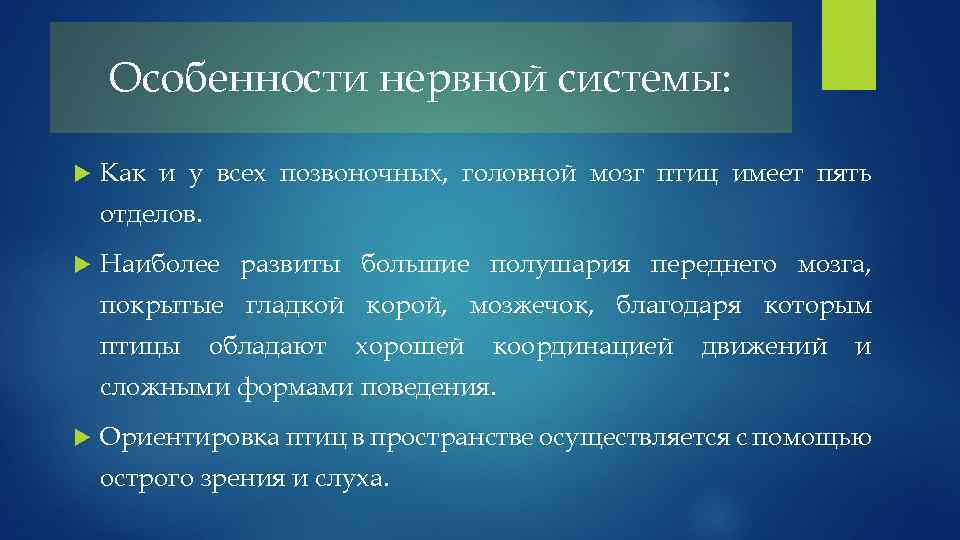 Особенности нервной системы: Как и у всех позвоночных, головной мозг птиц имеет пять отделов.