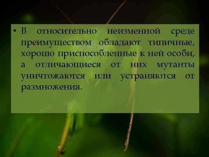  • В относительно неизменной среде преимуществом обладают типичные, хорошо приспособленные к ней особи,