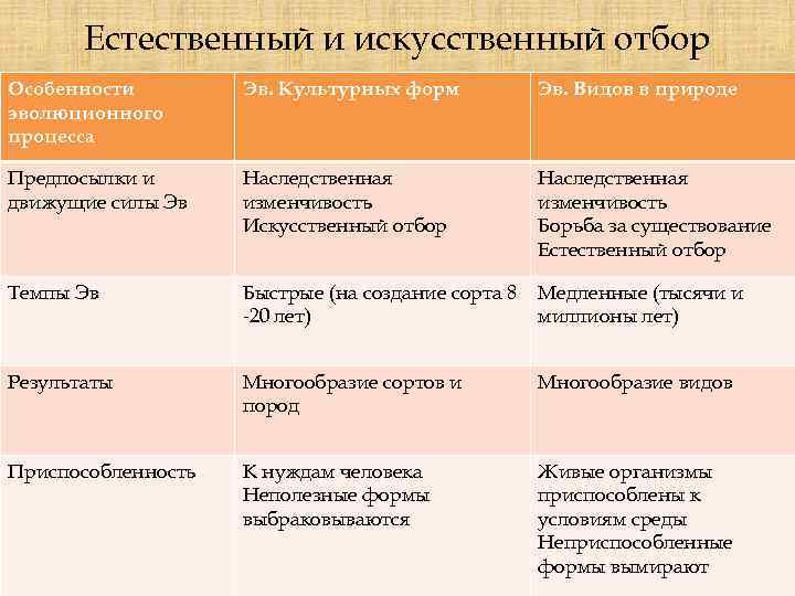 Естественный и искусственный отбор Особенности эволюционного процесса Эв. Культурных форм Эв. Видов в природе