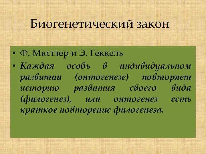 Биогенетический закон • Ф. Мюллер и Э. Геккель • Каждая особь в индивидуальном развитии