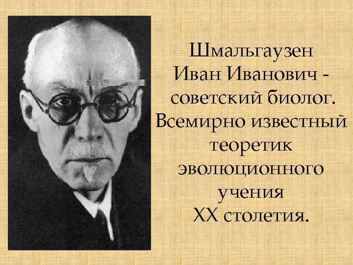 Шмальгаузен Иванович советский биолог. Всемирно известный теоретик эволюционного учения XX столетия. 