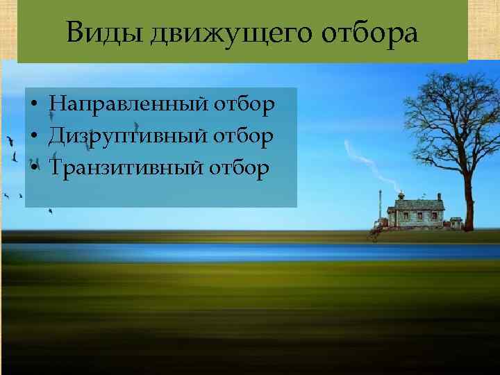 Виды движущего отбора • Направленный отбор • Дизруптивный отбор • Транзитивный отбор 