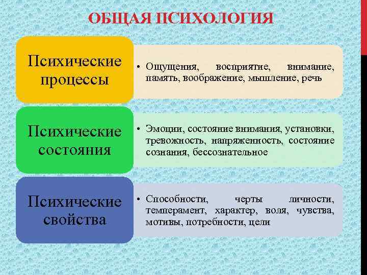 Руководство направление процесса формирования психических установок