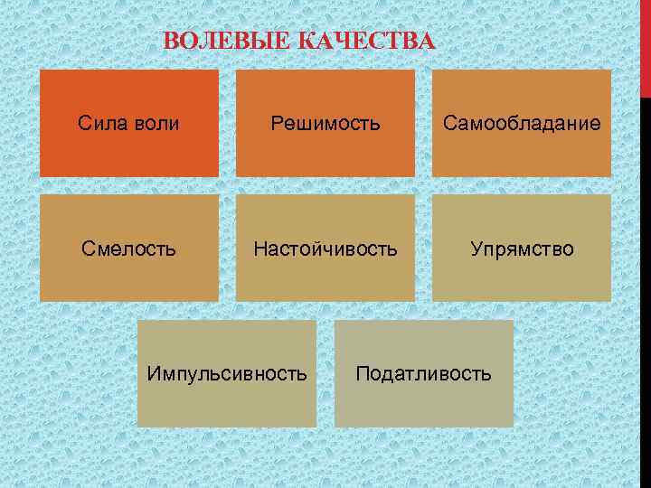 ВОЛЕВЫЕ КАЧЕСТВА Сила воли Решимость Самообладание Смелость Настойчивость Упрямство Импульсивность Податливость 